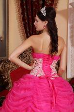 Appliqued Bottom Skirt Hot Pink Quince Party Dress Cheap