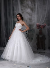 One Shoulder Watteau Train Maternity Wedding Dress By Net Low Price