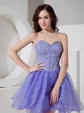 Sexy Lavender Organza Sweet 16 Girls Dress With Diamond