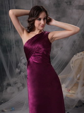 Purple One Shoulder Column Mother Of The Bride Dress Pretty Modest