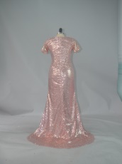 Sweep Train Blush Sparkling Sequin Prom Evening Dress Under 90