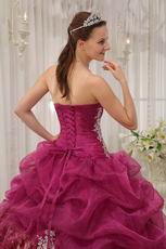 Best 2014 Appliqued Ruby Red Quinceanera Dress With Leopard Fabric