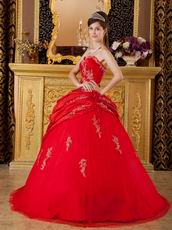 Dark Red Applique Emberllish Quinceanera Dress Custom Made