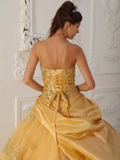 Gold Princess Women Quinceanera Dress With Appliqued Edge Of Skirt