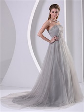 Graceful Strapless A-line Silver Grey Tulle Host Prom Dress Custom Tailoring