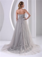 Graceful Strapless A-line Silver Grey Tulle Host Prom Dress Custom Tailoring