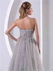 Graceful Strapless A-line Silver Grey Tulle Host Prom Dress Custom Tailoring