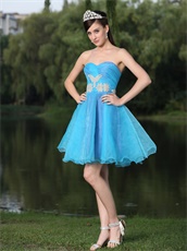 Purple Covered With Skye Blue Organza Prom Outdoor BBQ Party Dress Mini