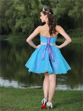 Purple Covered With Skye Blue Organza Prom Outdoor BBQ Party Dress Mini